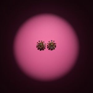 Kate Spade Colorful Gold starburst Earrings